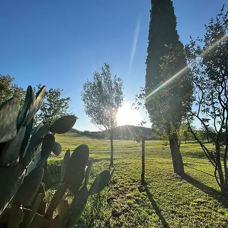 Podere Scopicci Campagnatico