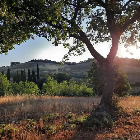 Podere Scopicci Lejlighed *