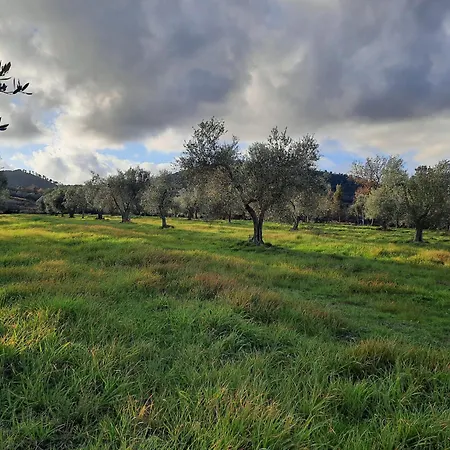 Podere Scopicci